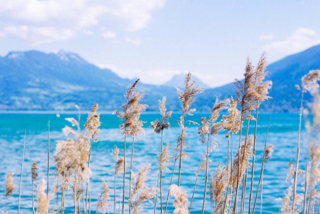 Le Boheme Beau T2 Vue Lac & Montagnes + Garage Annecy Eksteriør bilde